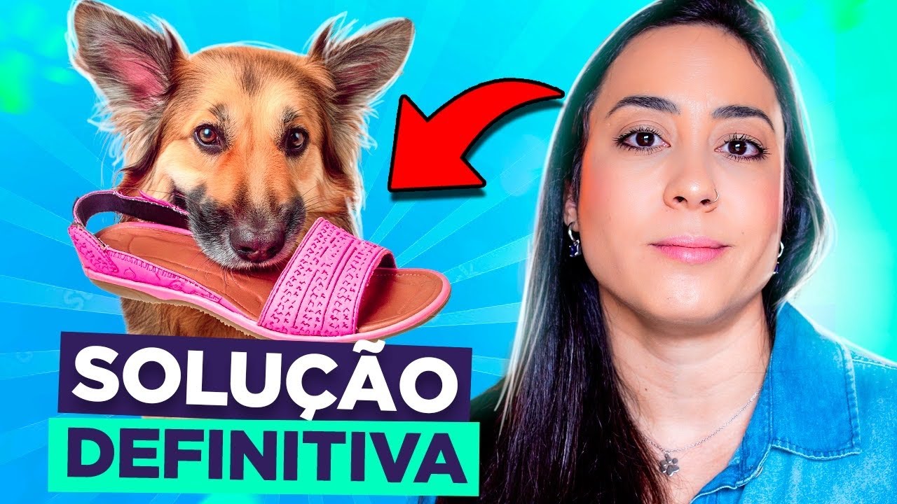 CACHORRO QUE COME CHINELOS / SAPATOS: DICAS INFALÍVEIS!