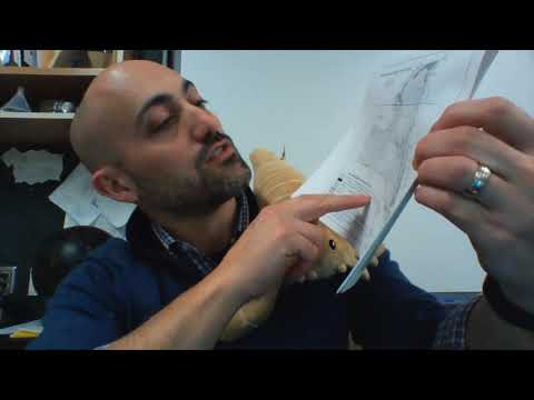 Regents Review #3  Angle of Polaris and Latitude