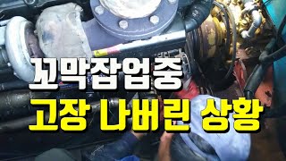 귀어는 어선업이 대안일까요? - 양식장 꼬막채취 작업 EP2