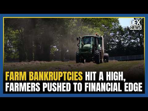 Farm bankruptcies hit a six-year high as rising input costs push ...