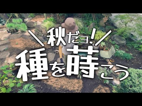 印象的な庭を作る、急成長するつる性の顕花植物 12 選  庭園