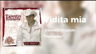 Vidita mia /Valentin Elizalde, 2006 (audio)