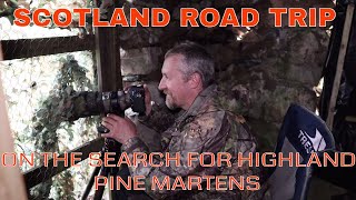 WILDLIFE PHOTOGRAPHY- ROAD TRIP - HIGHLAND SEARCH FOR PINE MARTENS