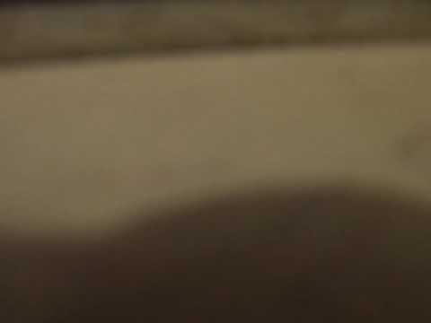 Silverway - Parade - vocals (with Hypotetic)