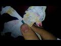 Opening To The Wiggles Wiggly Play Time 2001 VHS