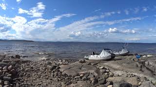 Ссылка