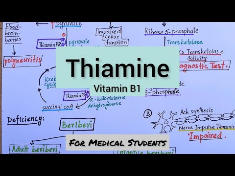 Thiamine | Dietary Source Functions Deficiency Manifestations & Treatment