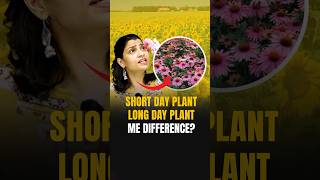 Short Day Plant Vs Long Day Plant Vs Day Neutral Plant #riturattewal #neet2024