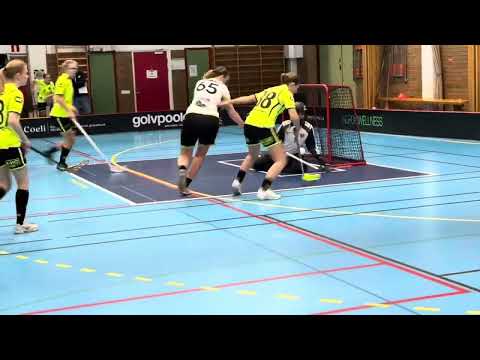Highlights Damer Division 3 Bjärreds IBK - Å/K IBS 6-5