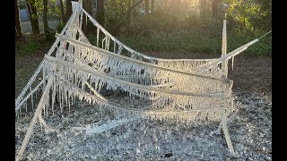 Winter Wonderland in Gainesville Florida 2022