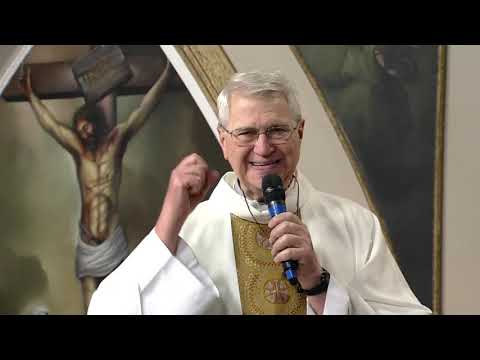 Homilia Padre Eduardo Dougherty, sj - 25/10/2019 - TEMPO de reconhecer e fazer a DIVINA VONTADE