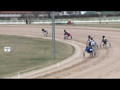 2019.03.16. 05. futam - ALI DÍJ