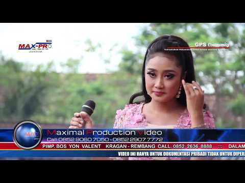 download lagu mp3 mp4 Lagu Dangdut Palapa Bimbang, download lagu Lagu Dangdut Palapa Bimbang gratis, unduh video klip Lagu Dangdut Palapa Bimbang