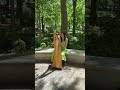 NYC Harpist Mary Kate Boylan - Planxty George Brabazon