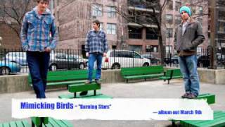 Mimicking Birds - Burning Stars - album out March 9th