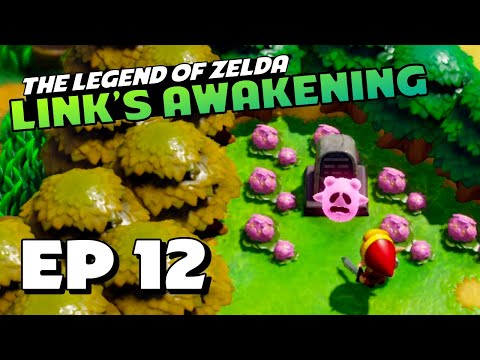 GHOST OF THE PAST - Part 12 - The Legend of Zelda: Link's Awakening No-Commentary Walkthrough