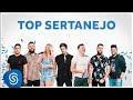 TOP SERTANEJO 2020 As Melhores Do Ano Vídeo Oficial