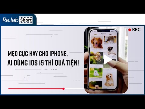 iOS 15の意外なデメリット:iPhone 9機種が影響を受ける