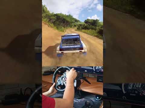 MG Metro 6R4 New Zealand Short | Dirt Rally 2.0 / G29 Gameplay [Pt.1]