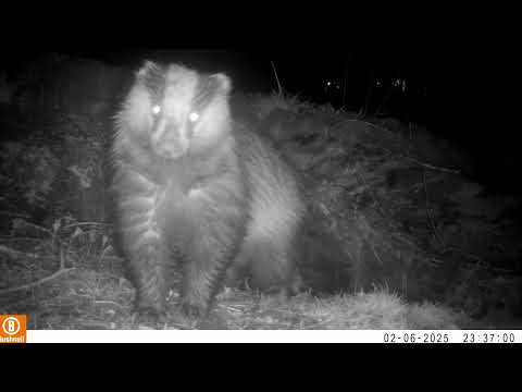 Kilchoan Melfort Trust