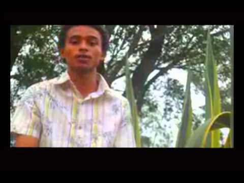 Anti stériak Mifona