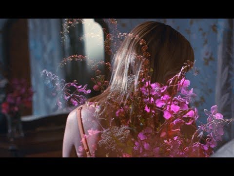 who boy - one hundred 100