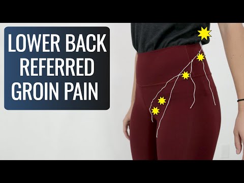 Can Low Back Pain Cause Groin Pain? Yes, Here's How