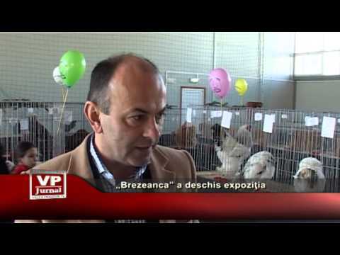 „Brezeanca” a deschis expoziţia