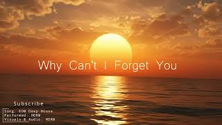 Download lagu Why Can't I Forget You — Sad EDM Mix 2026 🎧 Emotional Future Bass for Heartbreak & Healing mp3
