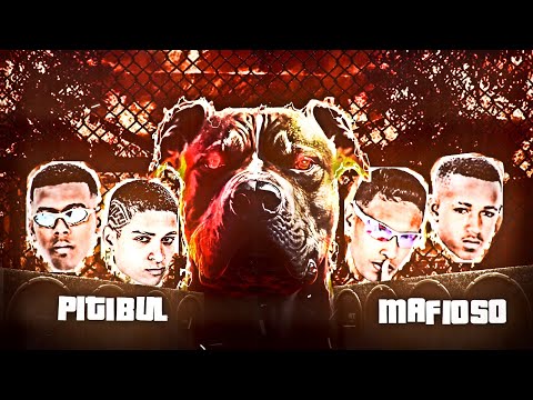 PITIBUL MAFIOSO - MC 10G, GUI DA TROPA, W9 E TIO CHICO - REMIX BREGAFUNK