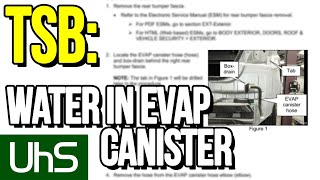 TSB: water in the EVAP canister | Tech Minute