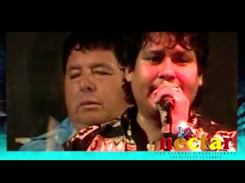 NÉCTAR   MALDITO LICOR