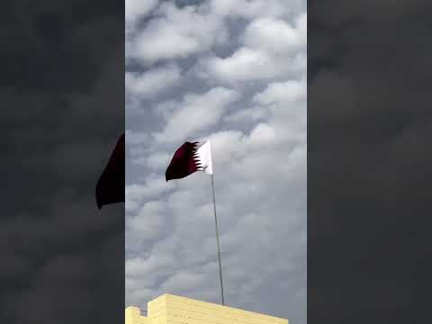 World Cup 2022 | Facts #youtubeshorts #facts #football #qatar