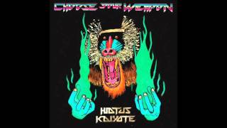 Hiatus Kaiyote - 15 The Lung