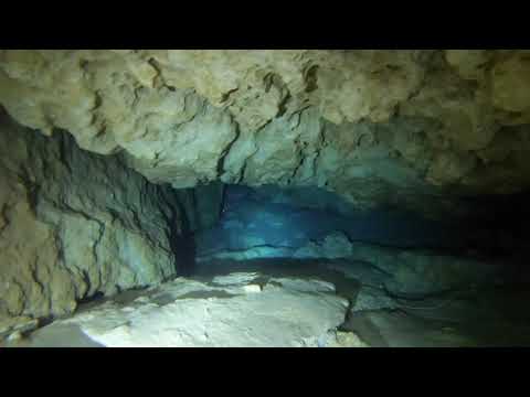Cypress springs cave diving and Freediving!