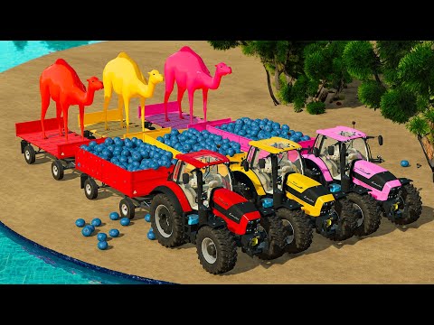 LOAD AND TRANSPORT GIANT CAMELS & BLUEBERRIES WITH LAMBORGHINI TRACTORS - Farming Simulator 22