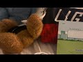 Starfall Disney Junior Dance Party Theater Coming In Jan 1st 2026 Official Trailer