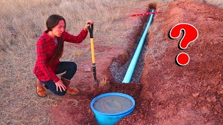 This INSPECTION Decides The Fate Of Our Off-Grid Cabin Build | DIY Septic System Completion