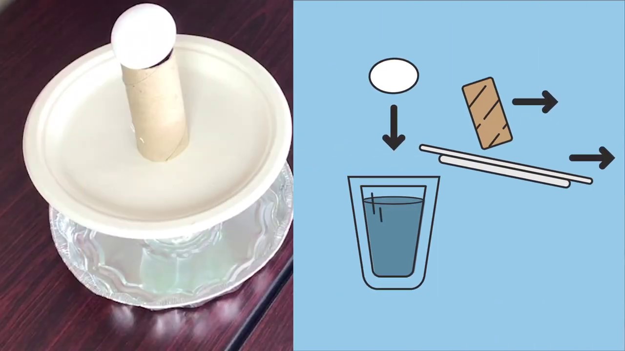 STEM At Home: Newton's Laws of Motion