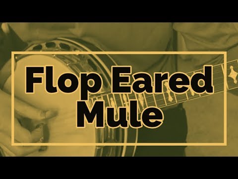Flop Eared Mule // Bluegrass Banjo