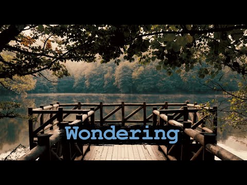 Mindless Paresthesia - Wondering