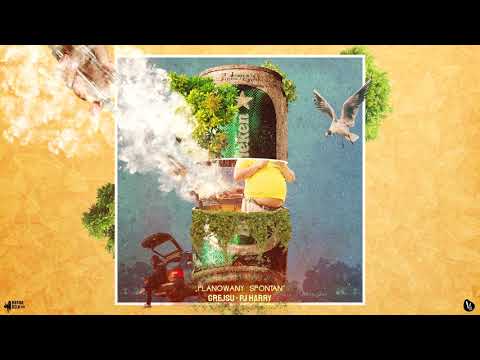 Grejsu x PJ Harry - Planowany Spontan