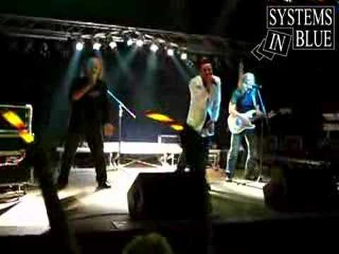 Mark Ashley & Systems In Blue "King Of Roses"