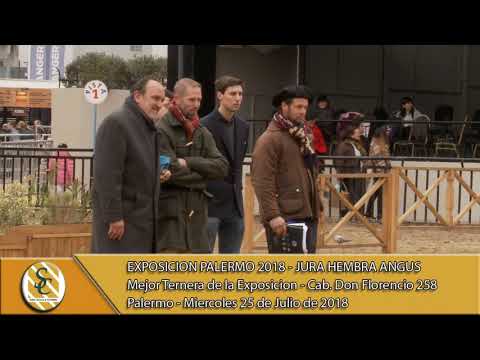 25-07-18 Mejor Ternera de la Exposición - Jura Hembra Angus - Palermo