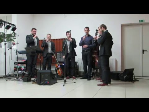 Ni bil alkohol - Odoica