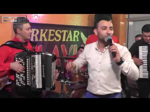Orkestar Vojkana Antonijevica Slavuja (Zeljko Vasic) - MIX, Zeljoteka 2016