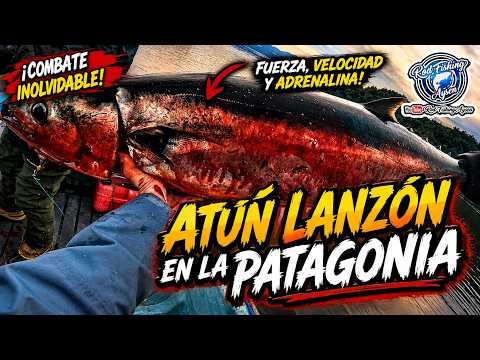 Increíble Pesca de Atun Lanzón en Patagonia #fypシ #fishing #pesca #atun #tuna #patagonia #cisnes