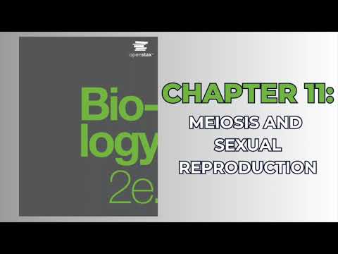 OpenStax Biology 2e (Audiobook) - Chapter 11: Meiosis and Sexual Reproduction