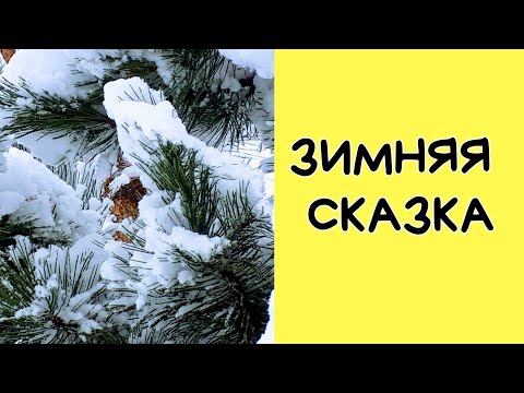 Зимняя сказка.