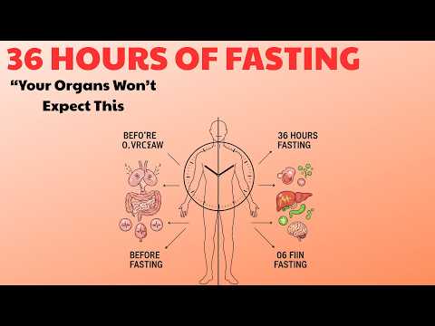 What Happens to Your Organs After 36 Hours of Fasting (Your Body Starts Transforming)